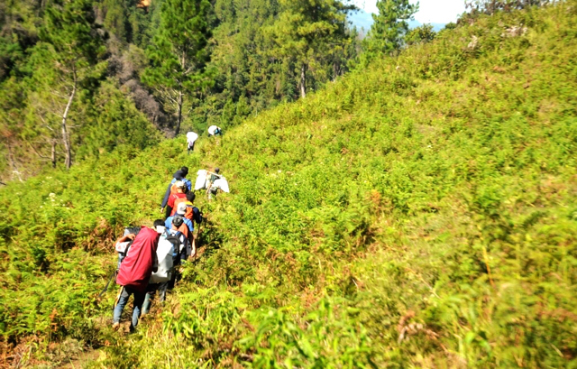 Jalur menuju base camp LIPI. Toto: Eko Rusdianto