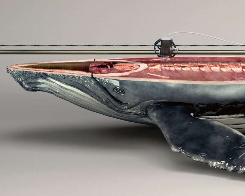 kampanye konservasi paus detil young-rubicam-IFAW-campaign-3D-printed-animals-designboom com