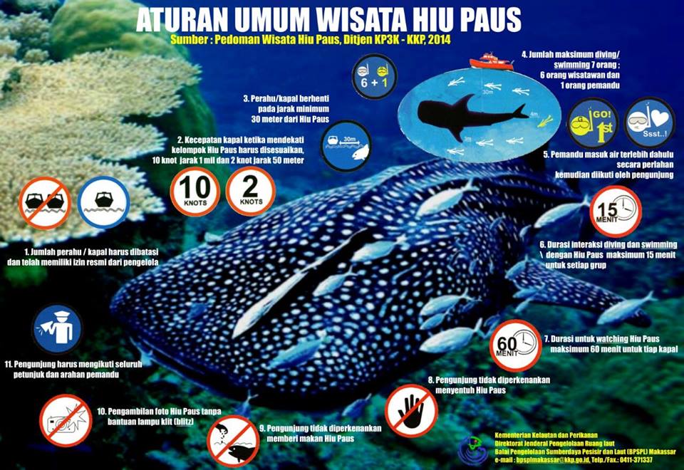 Panduan melihat hiu paus. Sumber : KKP