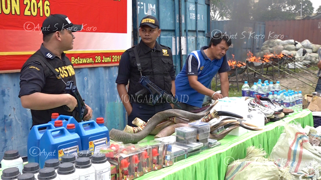 Barang selundupan dari luar negeri termasuk bagian tubuh satwa. Foto: Ayat S Karokaro