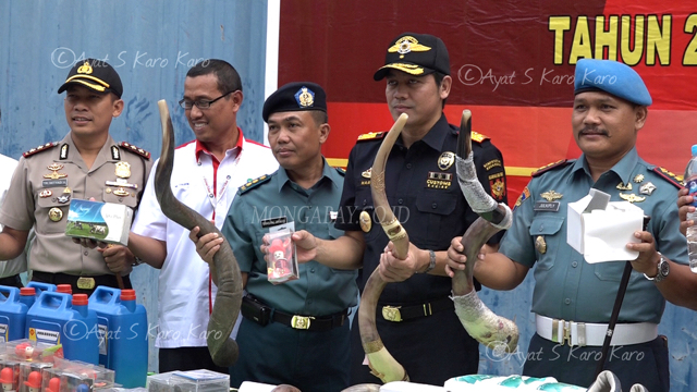 Tanduk satwa yang diamankan Bea Cukai Belawan dari kapal yang menyeludupkan barang dari luar negeri ke Indonesia. Foto: Ayat S Karokaro