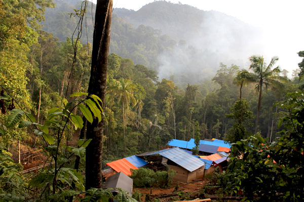 Pemandangan Taman Nasional Bogani Nani Wartabone di pagi hari. Foto: Christopel Paino