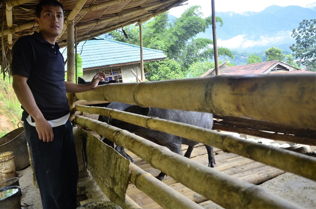 Andi Karaeng memilih pulang kampung yang terpencil di Kabupaten Mamasa, Sulawesi Barat, untuk membantu peternak dan petani dalam hal akses informasi akan beternak dan bertani secara organik dan memutus rantai ketergantungan pada bahan-bahan kimiawi. Ia juga aktif beternak babi dan berkebun kopi. Foto : Wahyu Chandra