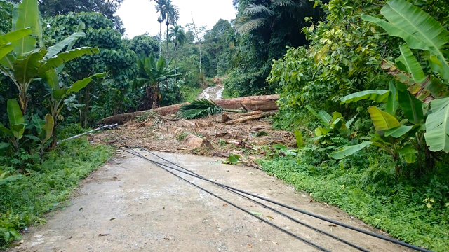 Pasca banjir akses jalan ke Sungai Pisang, Bungus Teluk Kabung terisolir, Sabtu (18/6/16). Foto: Vinolia 