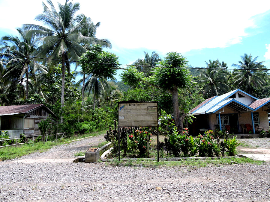 Pemadangan Desa Lembah Permai, Kecamatan Wanggarasi, Kabupaten Pohuwato, yang bersinggungan langsung dengan hutan. Foto: Christopel Paino