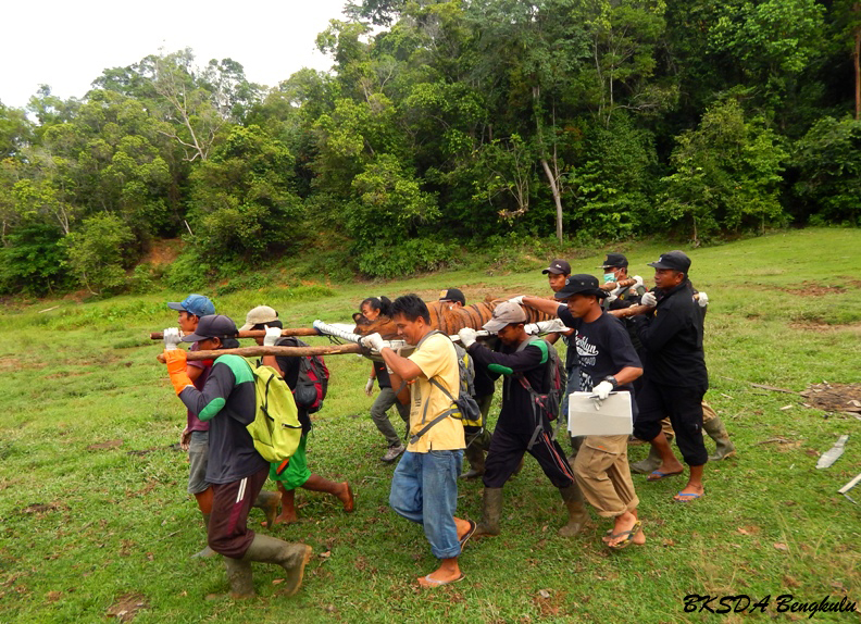 TWA Seblat, tempat perawatan sementara Giring. Foto: BKSDA Bengkulu 