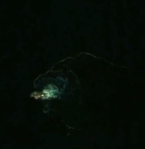 Makhluk misterius yang ditangkap Google Earth. Sumber: Youtube/wowforreeel