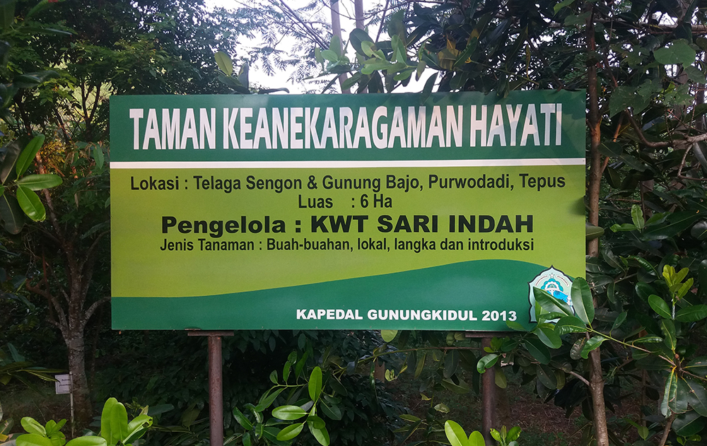 Taman Keanekaragaman Hayati (Kehati) di Kecamatan Tepus dan Kecamatan Ngawen, Gunungkidul, Yogyakarta seluas 15 hektar. Taman Kehati Yogyakarta merupakan salah satu dari sembilan Taman Kehati di Indonesia. Foto : Agustinus Wijayanto