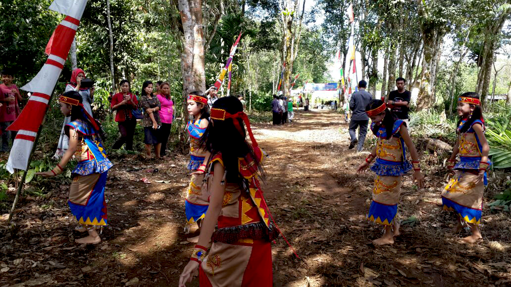 Tengkawang merupakan pohon kehidupan. Foto: LPS AIR