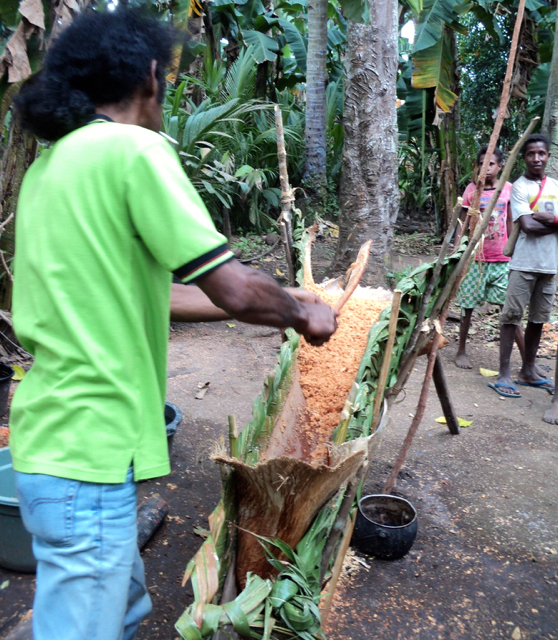 Proses pembuatan sagu. Foto: Agapitus Batbual