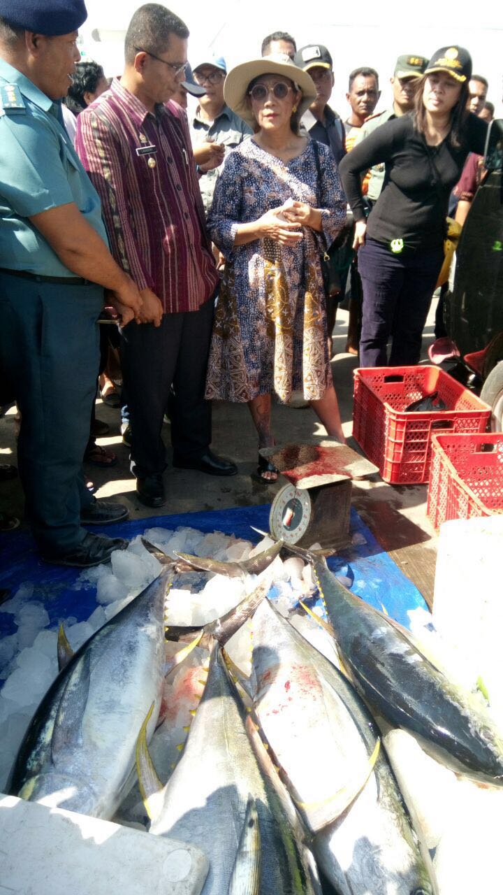 Menteri Kelautan dan Perikanan Susi Pudjiastuti melihat tangkapan ikan (TPI) Amagarapati, Pelabuhan Ilemandiri, Larantuka, Kabupaten Flores Timur, NTT pada Jumat (10/06/2016). Susi melakukan kunjungan kerja ke NTT untuk melihat langsung permasalahan kelautan dan perikanan . Foto : Humas KKP 