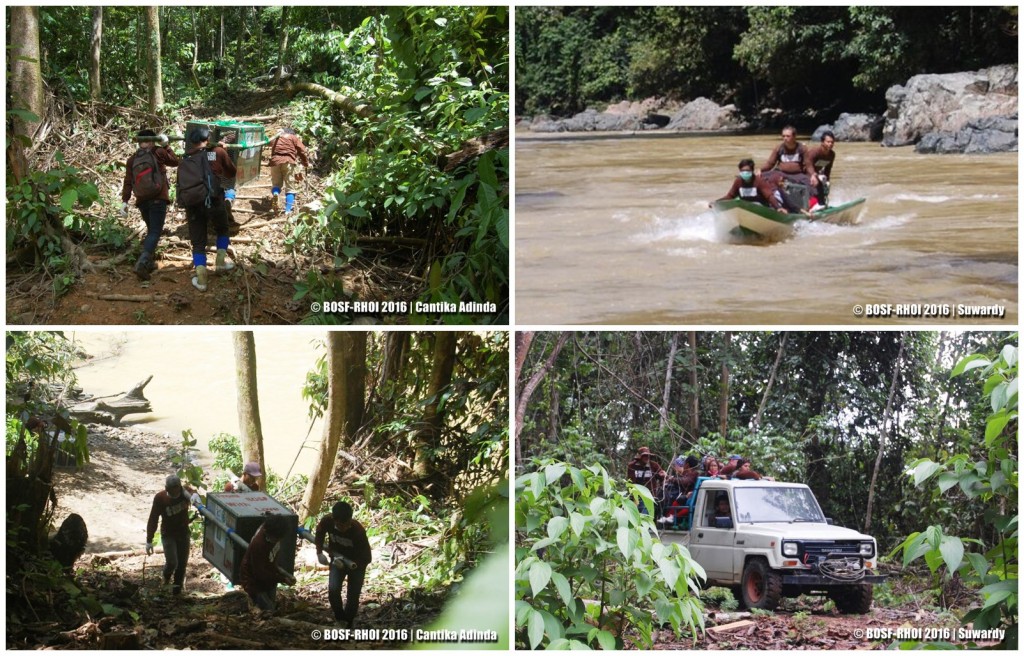 Perjalanan menuju titik pelepasliaran