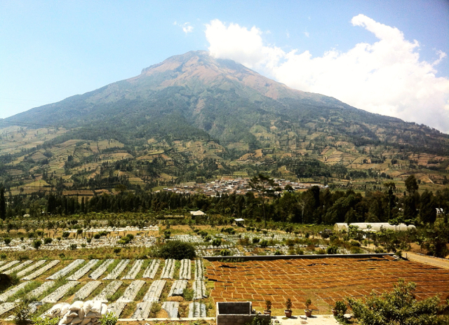 Lahan terbuka di Lereng Gunung Sumbing tampak kecoklatan dilihat dari Kledung, Temanggung. Foto: Nuswantoro
