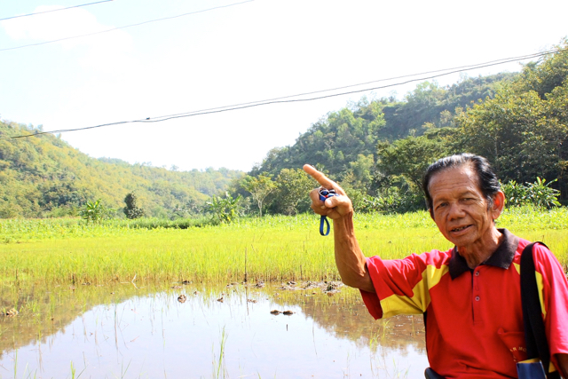 Karmin dan tanah yang selalu tergenang air di Tameng, Girikikis. Foto: Nuswantoro