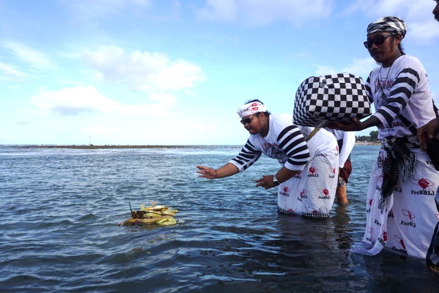 Pemimpin desa adat melarung sesajen dan uang hasil sumbangan ke laut dalam aksi menolak reklamasi Teluk Benoa, Bali. Foto : Anton Muhajir