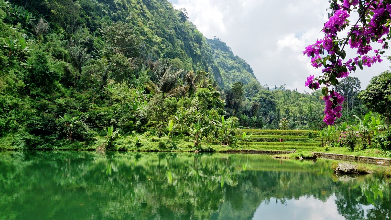 Selain curug, di kawasan Wanawisata Curug Citambur, Ciancur, Jabar, juga terdapat rawa. Pengunjung bisa memancing atau mengelilingi rawa dengan perahu yang disediakan. Foto: Adi Permana 