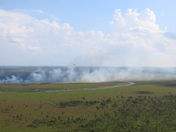 Kebakaran di wilayah perbatasan konsesi PT. BMH dan SM Padang Sugihan pada 5 Juli 2016 lalu. Foto: Dinas Kehutanan Sumsel 