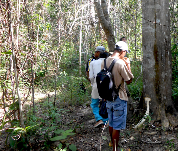 Masyarakat menyesal telah menghabisi gaharu yang penting bagi rawa gambut. Foto: Sengguk