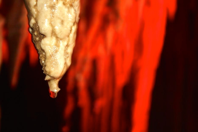 Stalagtit yang masih meneteskan air di Goa Gong Pacitan. Foto: Nuswantoro
