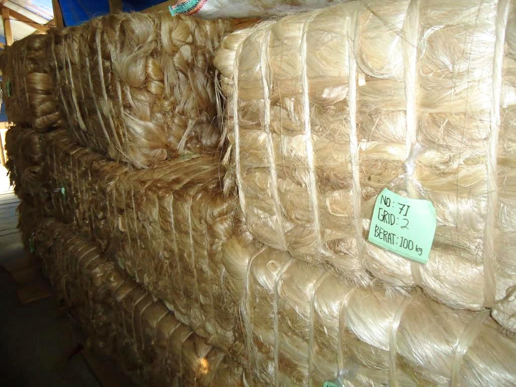 Serat pisang abaka dari DDesa Esang Kabupaten Kepulauan Talaud Sulut yang siap kirim. Foto : Themmy Doaly