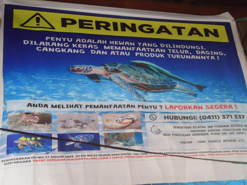 Spanduk tentang jenis ikan yang dilarang dijual, yang dibentangkan tim BPSPL Makassar di Pasar Tuminting Manado. Foto : Themmy Doaly