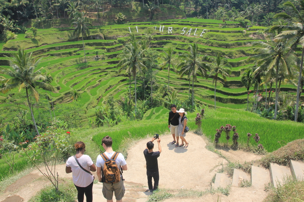 Sebuah seni instalasi dari seniman Gede Sayur untuk kampanye sawah bukan untuk dijual di objek wisata terasering Ceking, Tegalalang, Gianyar, Bali. Foto : Luh De Suriyani.