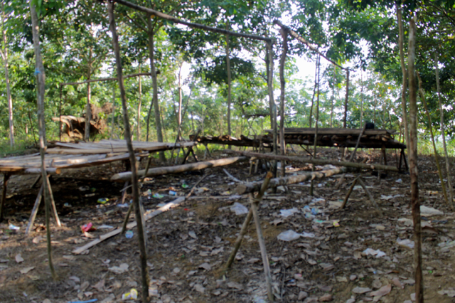 Sudung ditinggalkan Orang Rimba di PT Wana Perintis karena mereka mendapat ancaman. Foto: Elviza Diana