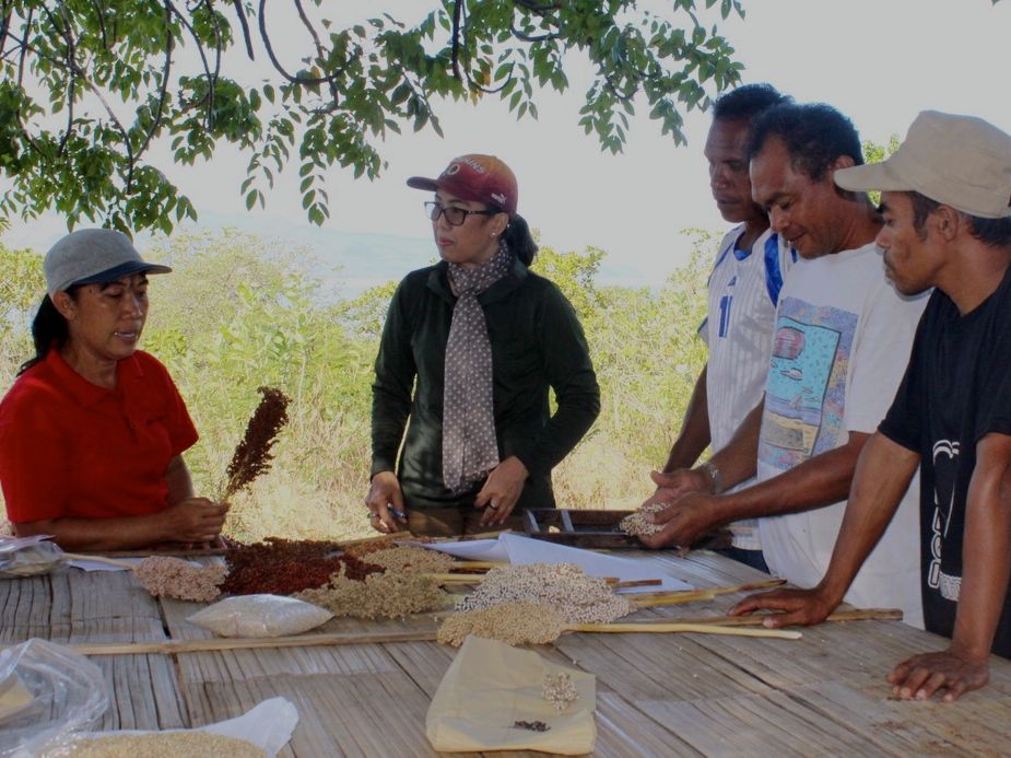 Maria Loretha (palingk kiri), sedang menjelaskan manfaat sorgum. Foto: Ebed de Rosary