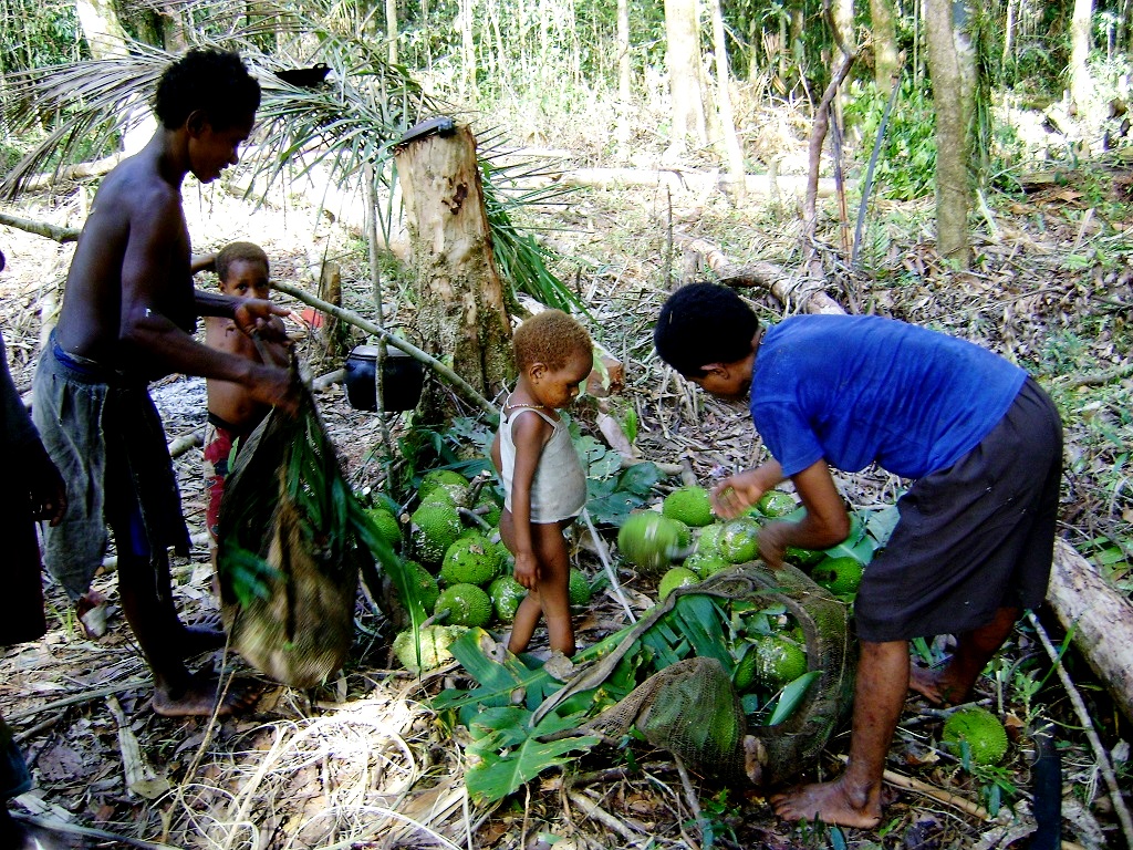 Kehidupan masyarakat adat dari suku Korowae, Boven Digoel, Papua, masih hidup dalam pola hidup tradisional. Mereka yang bertahan hidup di pedalaman atau Dusun menggantungkan hidup dari hasil-hasil hutan yang sebagian besar belum terjamah manusia. Foto: Kristian Ari/Silva Papua Lestari