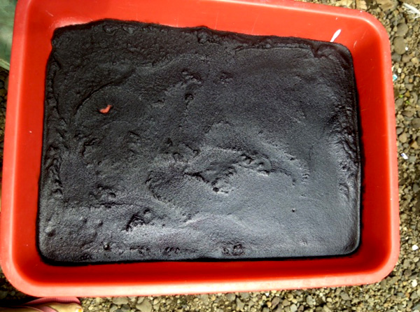 Ampas kopi yang biasanya dibuang dapat dimanfaatkan sebagai bahan penyerap pencemar logam berat pada air. Foto: tim peneliti FKM Universitas Jember