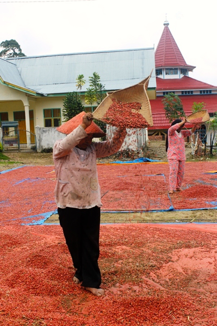 Berbagai hasil pertanian, seperti kacang merah juga anugerah dari kesuburan wilayah Marga Serampas ini. Foto: Elviza Diana