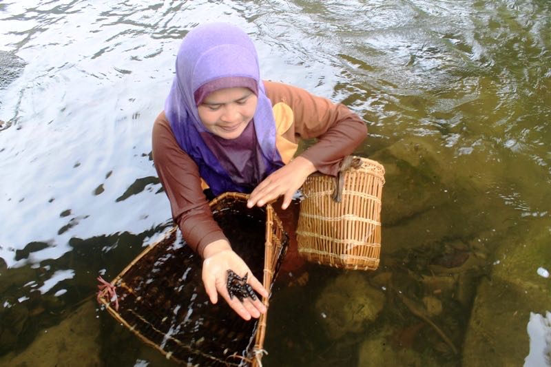 Mencari tekuyung, hewan sejenis siput yang banyak di aliran Sungai Batang Langkup yang mengairi wilayah adat Marga Serampas. Foto: Elviza Diana
