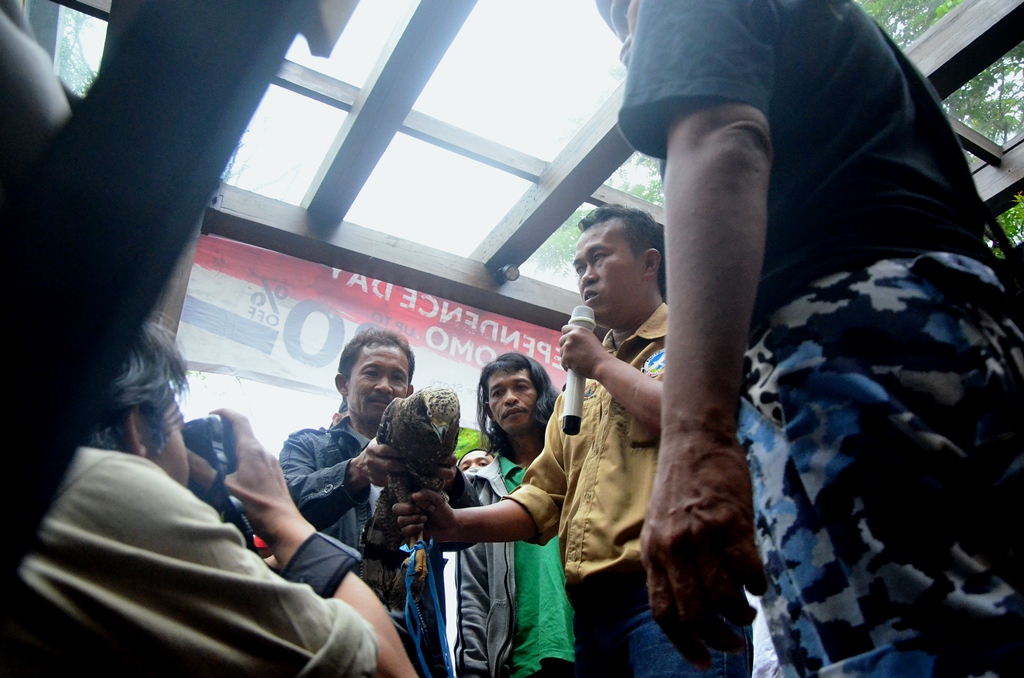 Seekor burung elang jenis elang ular bido diserahkan pemiliknya, Dede kepada Zaini Rakhman dari Pusat Konservasi Elang Kamojang, Garut di acara Pameran Foto Elang tahun 2016 yang diselenggarakan Komunitas Eloner Indonesia, di Jalan Sumatera, Kota Bandung, Sabtu (27/8/2016) lalu. Dalam acara pameran tersebut juga diadakan diskusi tentang penyelamatan elang dari kepunahan. Foto : Donny Iqbal
