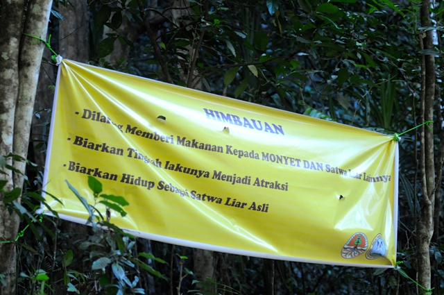 monyet4-Spanduk himbauan yang dipasang di sepanjang tempat turun Macaca maura