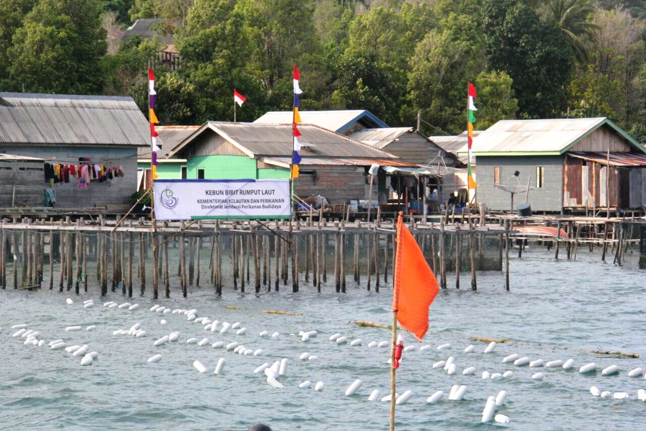 salah satu tempat budidaya rumput laut di Natuna, Kepulauan Riau. Foto :Dirjen Perikanan Budidaya KKP 