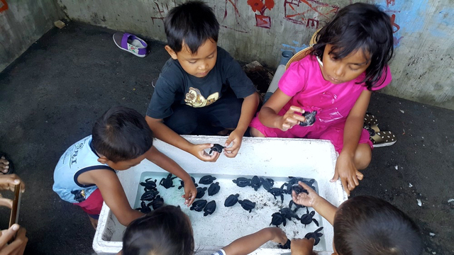 Anak-anak ikut pelepasliaran tukik, sekaligus mereka belajar melestarikan Penyu di Pantai Samas. Foto: Tommy Apriando