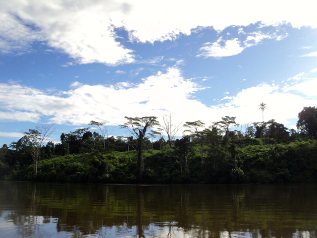 Tanah Tinggi, dengan hutan masih lebat. Foto: Agapitus Batbual