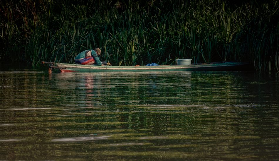 Taman Nasional Sebangau. Foto: Dok. Taman Nasional Sebangau
