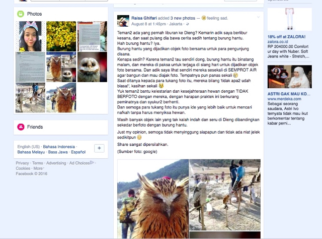 burung hantu1-Screen Shot 2016-08-20 at 6.54.52 AM