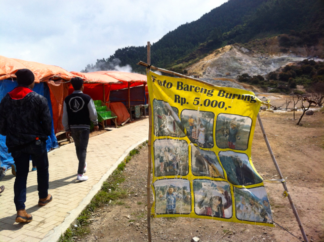 dieng2-Hanya dengan Rp 5 ribu pengunjung bisa berfoto dengan satwa nocturnal burung hantu.