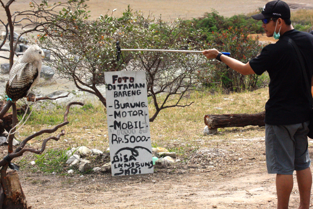 Pengunjung memotret burung hantu menggunakan kamera bertongsis (tongkat eksis). Foto: Nuswantoro