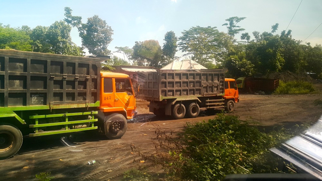 Ratusan truk hilir mudik mengangkut pasir besi. Foto: Tommy Apriando