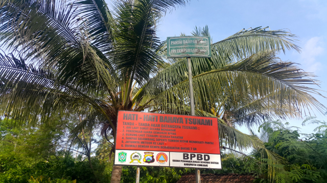 Tanda bahaya rawan tsunami. Kala pasir-pasir pesisir terkeruk, gumuk-gumuk hilang, maka ancaman bencana makin meningkat. Foto: Tommy Apriando