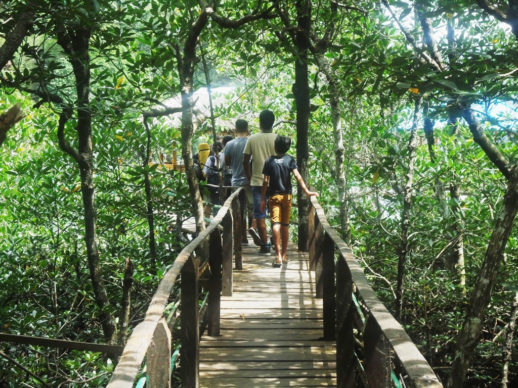 wisatawan di situs ekowisata mangrove Pintu Kota Pulau Lembeh, Bitung, Sulawesi Utara. Foto : Themmy Doaly