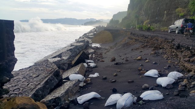 Abrasi pantai di pesisir Lumajang, makin parah. Foto: Tommy Apriando
