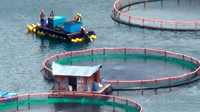 Begini aktivitas para pekerja di kerambadi Danau Toba. Foto: Ayat S Karokaro