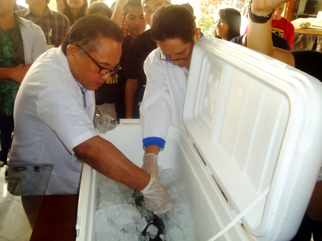 Hiu yang diduga jenis spesies baru dari famili Oxynotidae yang ditemukan di pantai Kalasey, kabupaten Minahasa, Minggu (07/08/2016). Spesimen hiu tersebut sedang diteliti oleh tim dari FPIK Unsrat, Sulawesi Utara. Foto : Themmy Doaly