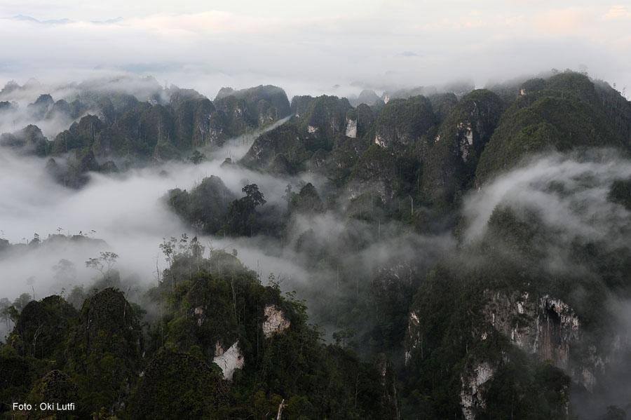 Pemandangan menawan Merabu yang terkenal akan madu hutannya. Foto: Akun Facebook Merabu Kampung ASIK/Oki Lutfi 