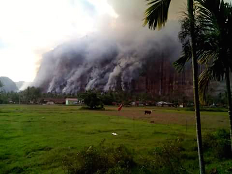 Asap mengepul dari kebakaran hutan di Lembah Harau. Foto: Vinolia