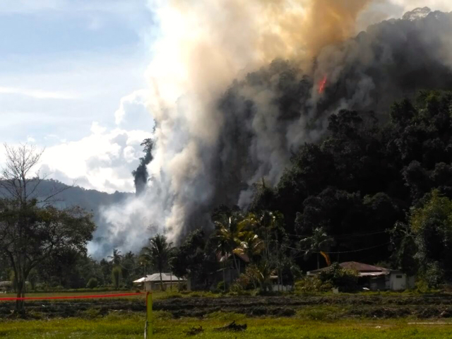 Kebakaran lahan merembet ke hutan di Lembah Harau, Jorong Limpato, Kecamatan Harau, Rabu (28/9/16). Foto: Vinolia